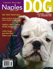 Naples Dog Magazine